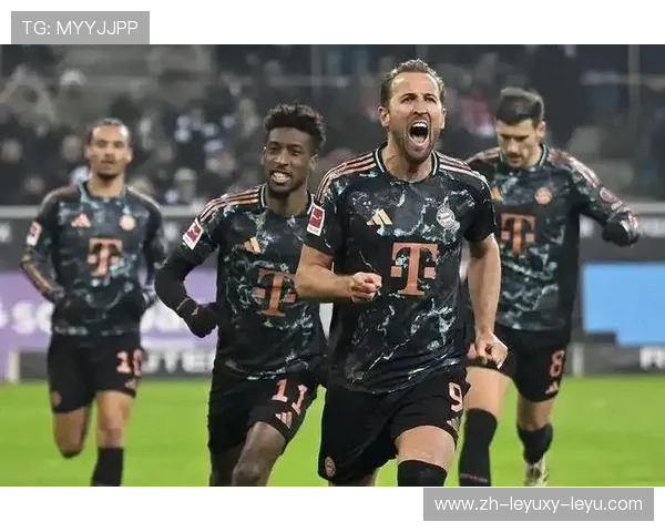 德国莱茵地区德甲球队汇总