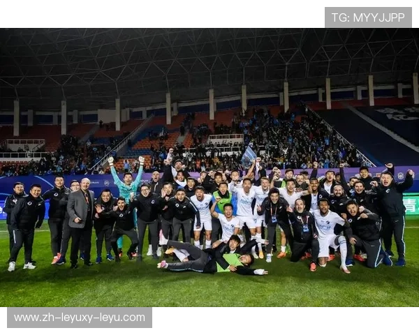 法甲外援适应性分析及其对球队战绩的影响