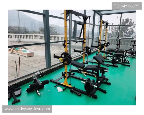 高端健身器材品牌定制专属健身体系