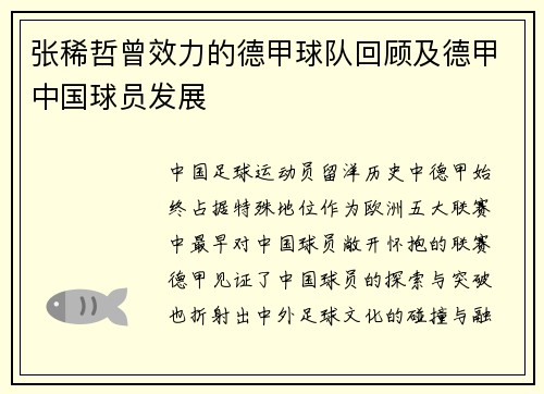 张稀哲曾效力的德甲球队回顾及德甲中国球员发展